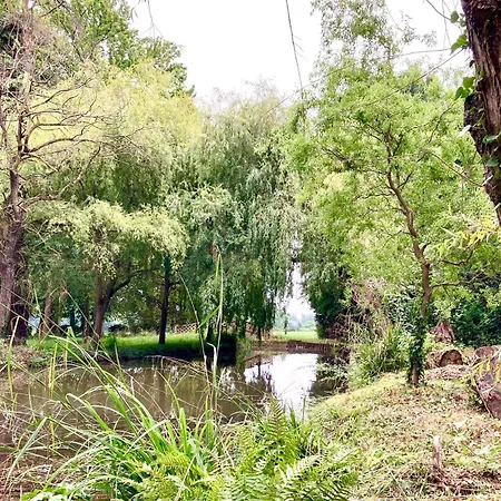 Chateau A Toulouse 4* Fenouillet (Haute-Garonne)